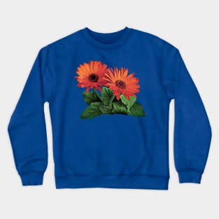 Two Orange Gerbera Daisies Crewneck Sweatshirt